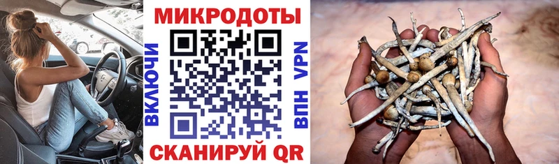 Купить закладки  Руза  Псилоцибиновые грибы GOLDEN TEACHER 